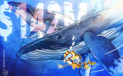 Two Bitcoin whales buy $142M BTC after Trump’s win  